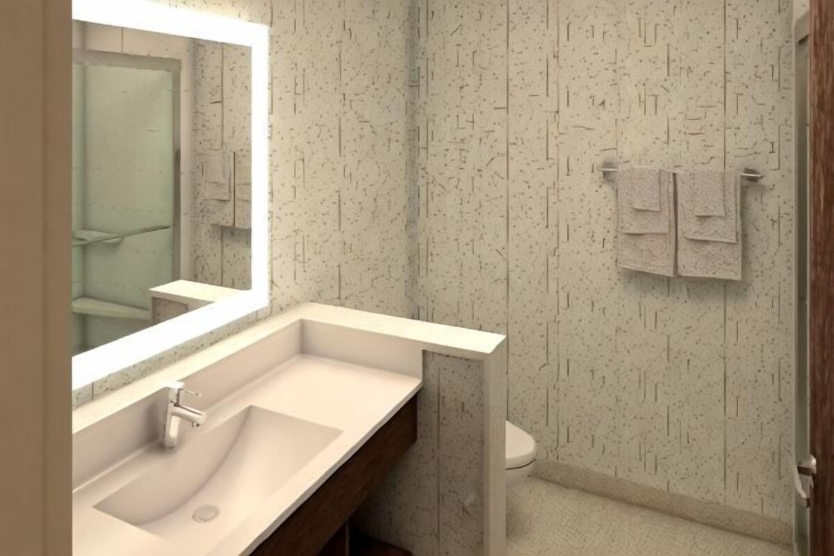 King Suite With Mobility Accessible Tub And Sofa Bed