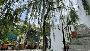 A courtyard with stone paving, potted plants, a staircase, and a white building with a blue window.