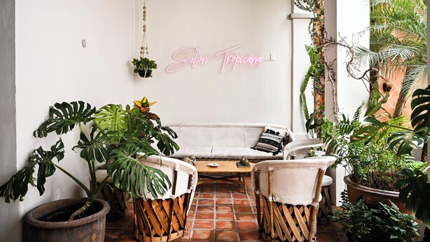 A cozy patio area with a white sofa, two chairs, a coffee table, and various potted plants.