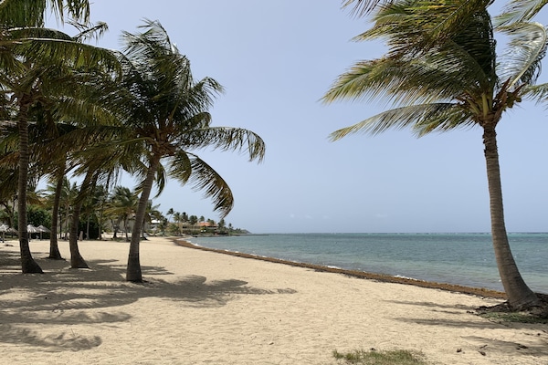 Playa