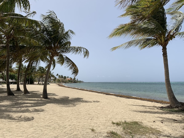 Plage à proximité, chaises longues, serviettes de plage
