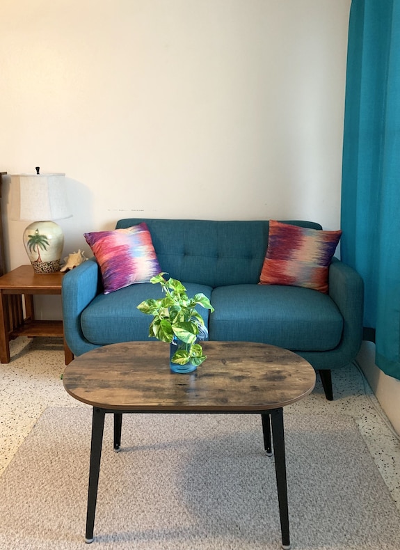 Condo With King Size Bed, Near Downtown, With Ocean Views, Ac, And Secured. - Saint Croix