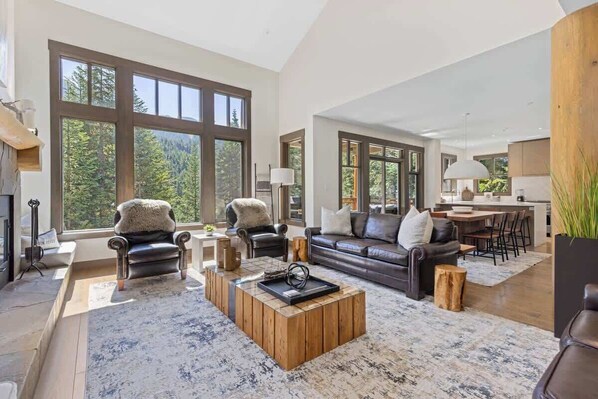 Televisio, takka, työhuone