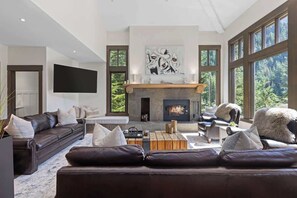 TV, fireplace, offices