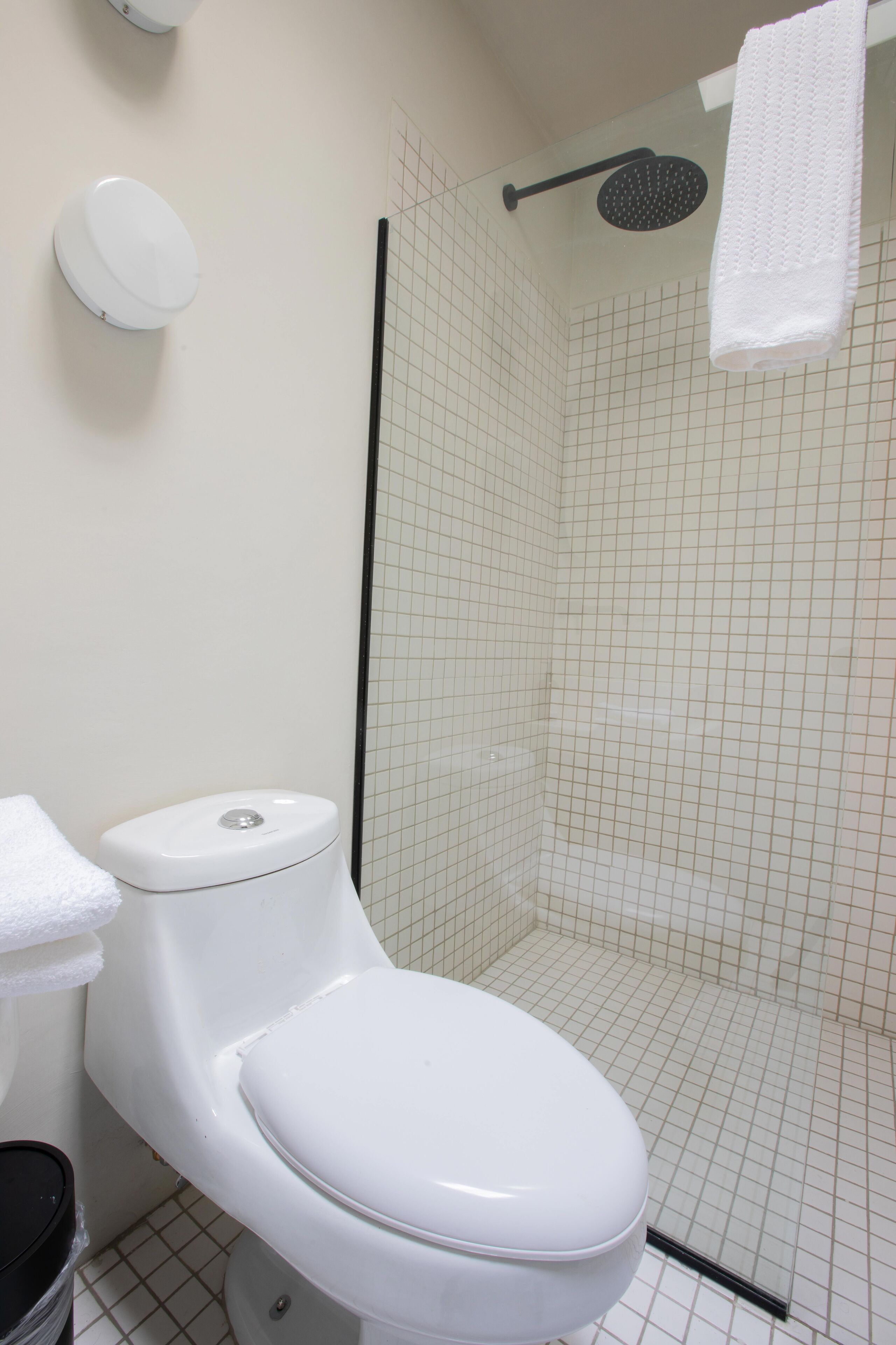 A bathroom with a white toilet, a shower enclosure, and a towel hanging on the wall.