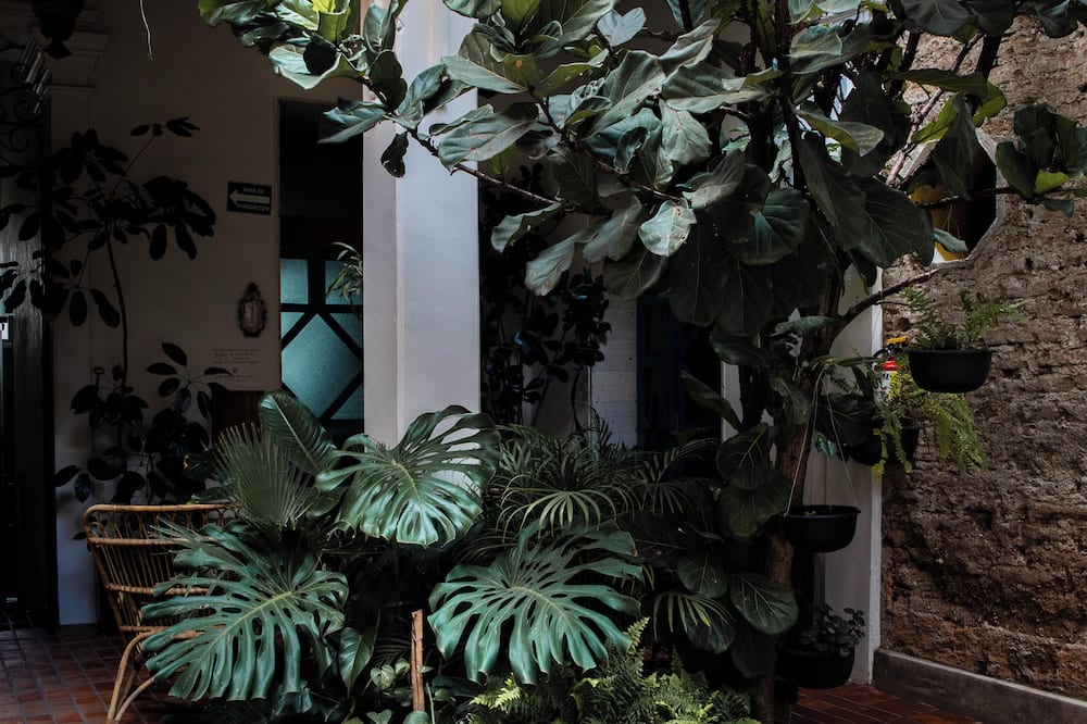 Casa Morelos By Barrio Mexico