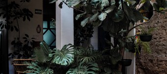 Casa Morelos By Barrio Mexico