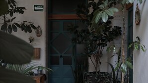 Une porte sur laquelle est apposée une signalisation indiquant un itinéraire d’évacuation, entourée de différentes plantes en pot.
