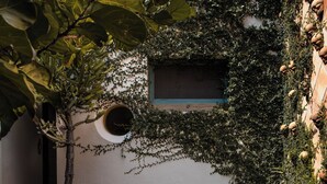 Une cour avec une piscine rectangulaire, des plantes en pot et un mur orné de carreaux décoratifs et de plantes grimpantes.