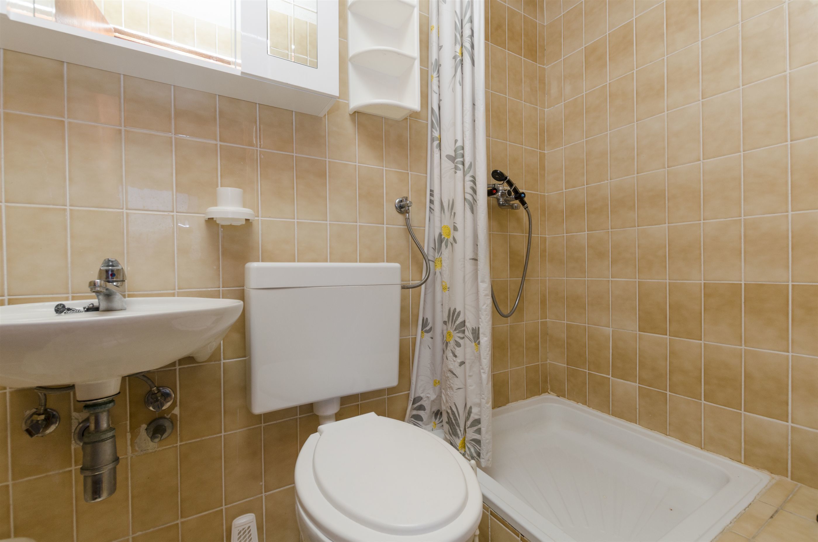 Une salle de bain avec des toilettes, un lavabo et une douche.