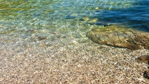 A clear shallow water body with visible pebbles and rocks at the bottom. - Apartment Deni (Milna)