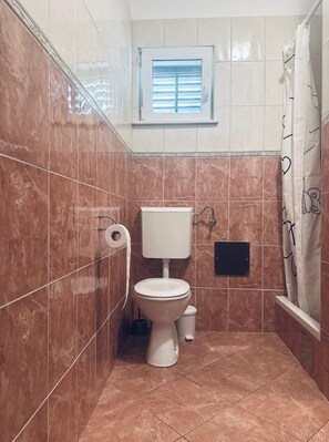 Apartment (A1) | Bathroom | Shower, hair dryer - Apartment Deni (Milna)