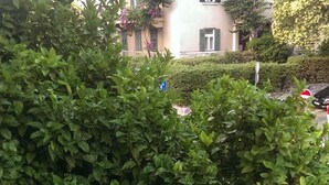 A balcony with a metal railing, surrounded by dense green foliage. - Apartment Marijo (Split)