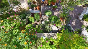 Un jardin agrémenté de diverses plantes et fleurs, un banc en pierre et une table avec des chaises.