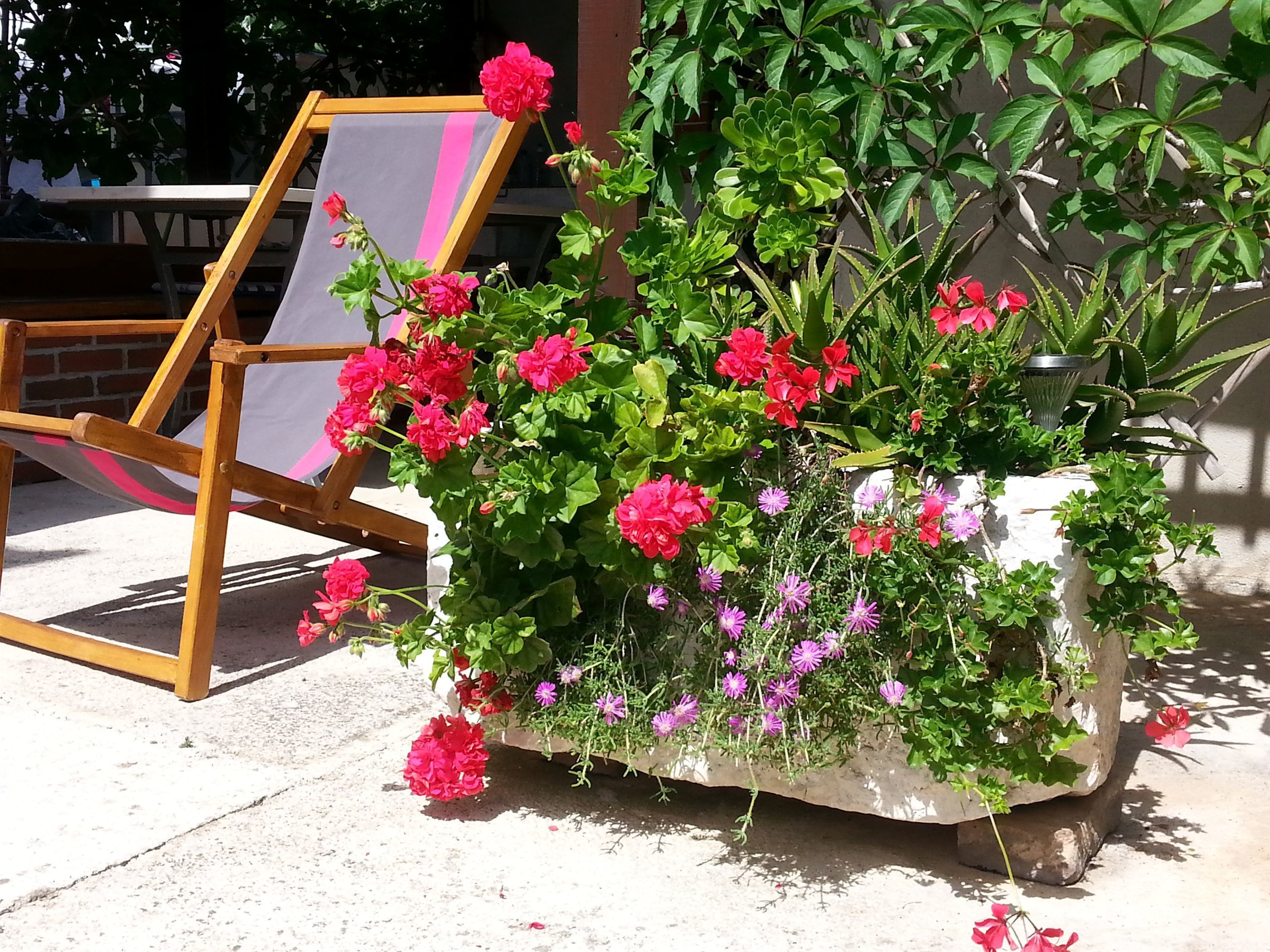 المنطقة المحيطة بالمنشأة