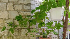 A stone wall, a hanging planter, and a bench. - Apartment Taida (Split)