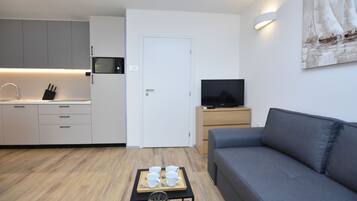 Căn hộ (A1) | Khu phòng khách | TV