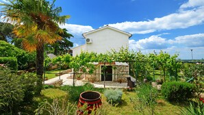 Una casa bianca con facciata in pietra, circondata da un giardino con diverse piante e una palma.