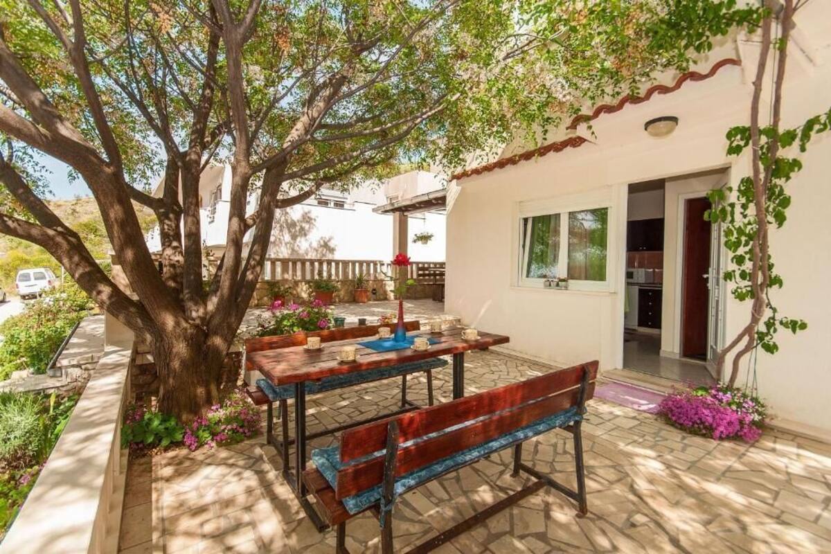 Une terrasse avec une table et des bancs en bois, entourée de plantes en pot et d’un grand arbre.