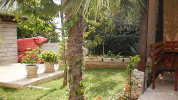 Un jardín con una palmera, plantas en macetas, un sendero de hormigón y un banco de madera.