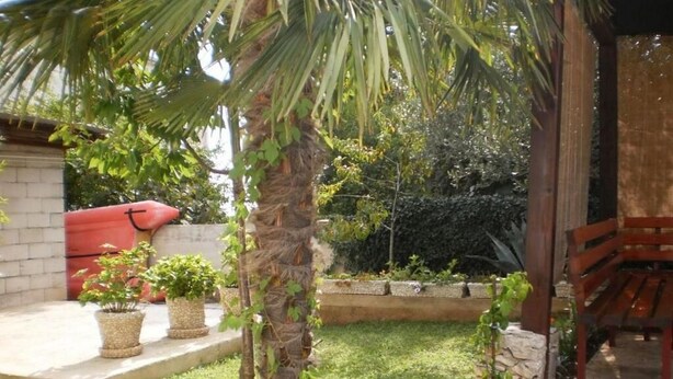 A garden with a palm tree, potted plants, and a wooden bench. - Apartment Tomislav (Okrug Gornji)
