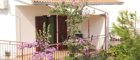 Appartement (A1) | Cour