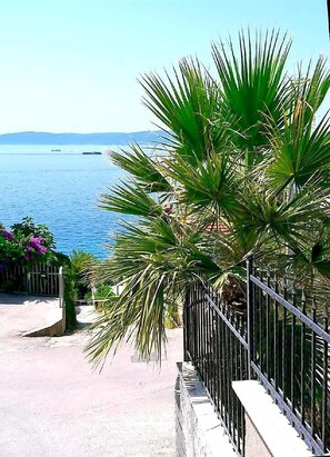 A coastal view with a metal railing, a palm tree, and a clear blue sea. - Apartment Anita (Okrug)