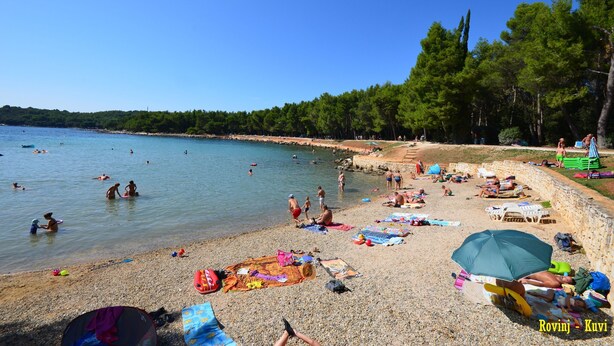 A pebbled beach with people swimming and sunbathing, a clear blue sky, and trees in the background. - Apartment Dorijana (Porec)