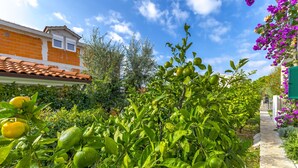 Unclassified image, 4 of 105, button - Apartments Mate (Okrug Gornji)