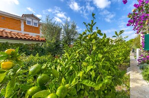 Property grounds - Apartments Mate (Okrug)