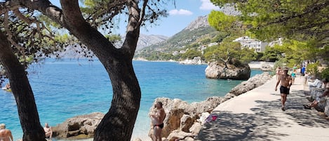 Plage à proximité