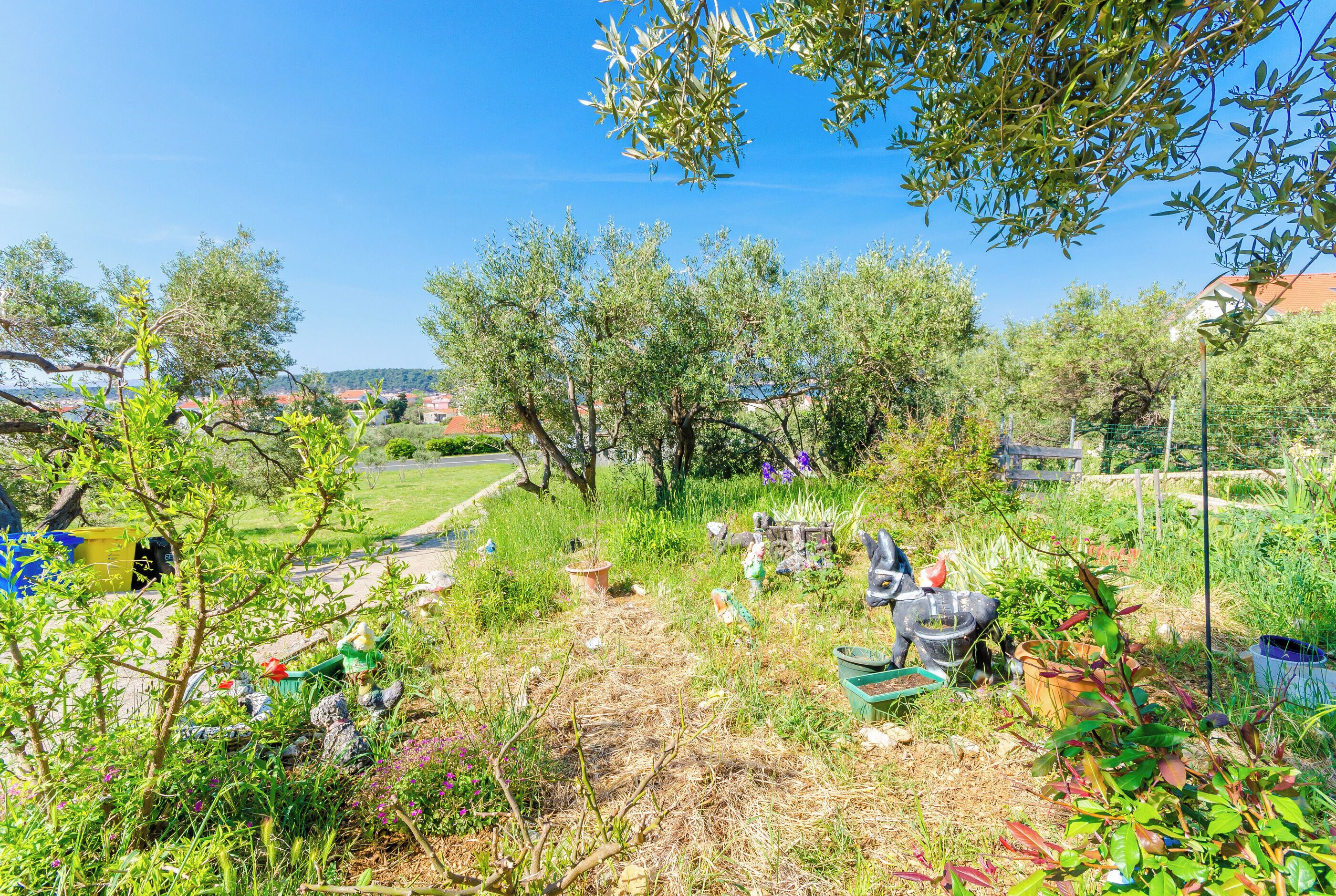 Un giardino con diverse piante e strumenti da giardinaggio.