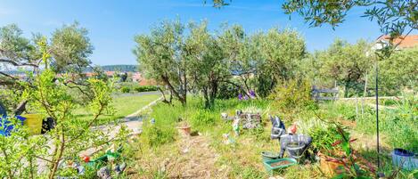 Un giardino con diverse piante e strumenti da giardinaggio.