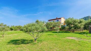 Design dell’edificio