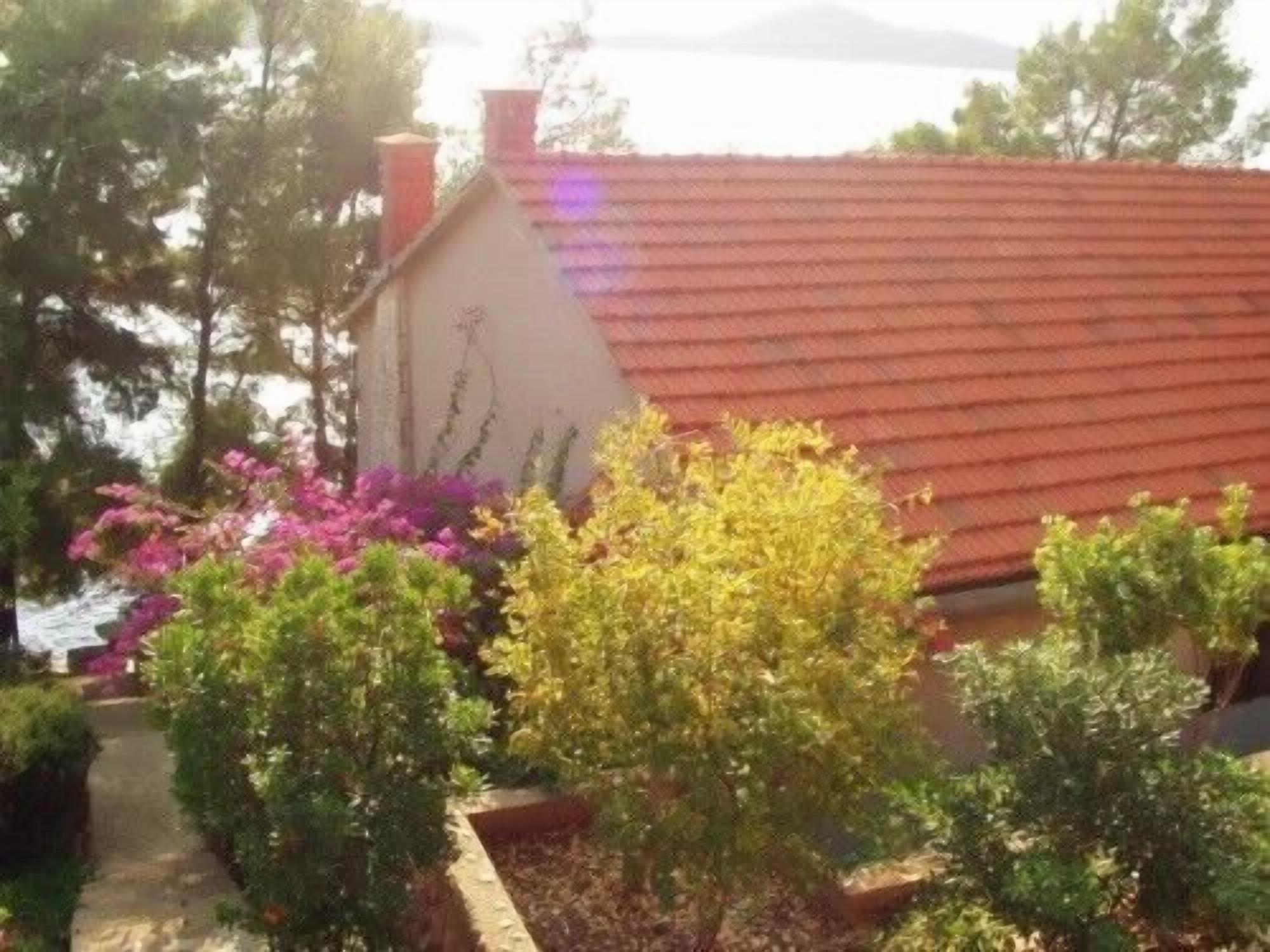 A house with a red-tiled roof, surrounded by various plants and flowers.
