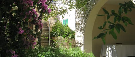 Detalle del exterior