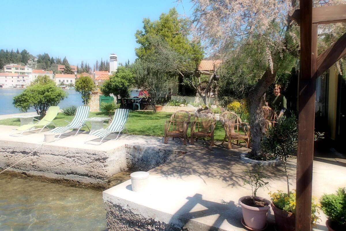 A poolside area with lounge chairs, a table, and potted plants.