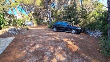 A driveway leading to a parked car surrounded by trees and a stone wall.