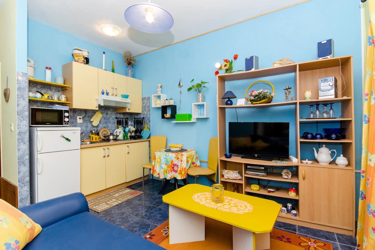 A compact living space with a kitchenette, a dining area, a sofa, and a TV.