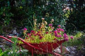 Detalle del interior