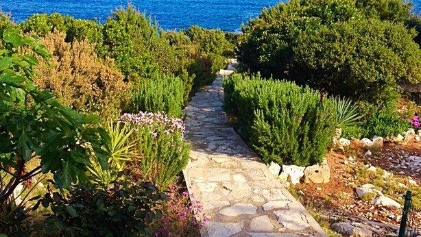 Un sentier de pierres mène à un point de vue sur la côte, avec une végétation luxuriante et une mer d’un bleu limpide.
