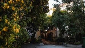 A narrow pathway leading to a building surrounded by dense foliage and trees. - Apartments Prce (Orebic)