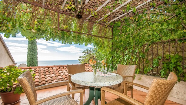 Teras/patio