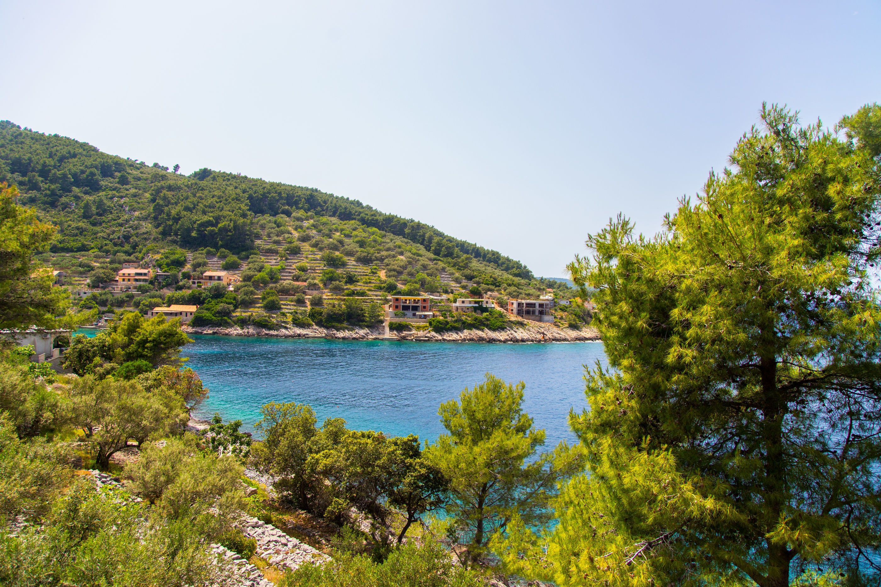 A coastal village with terraced houses along the hillside, a clear blue sea, and dense greenery.