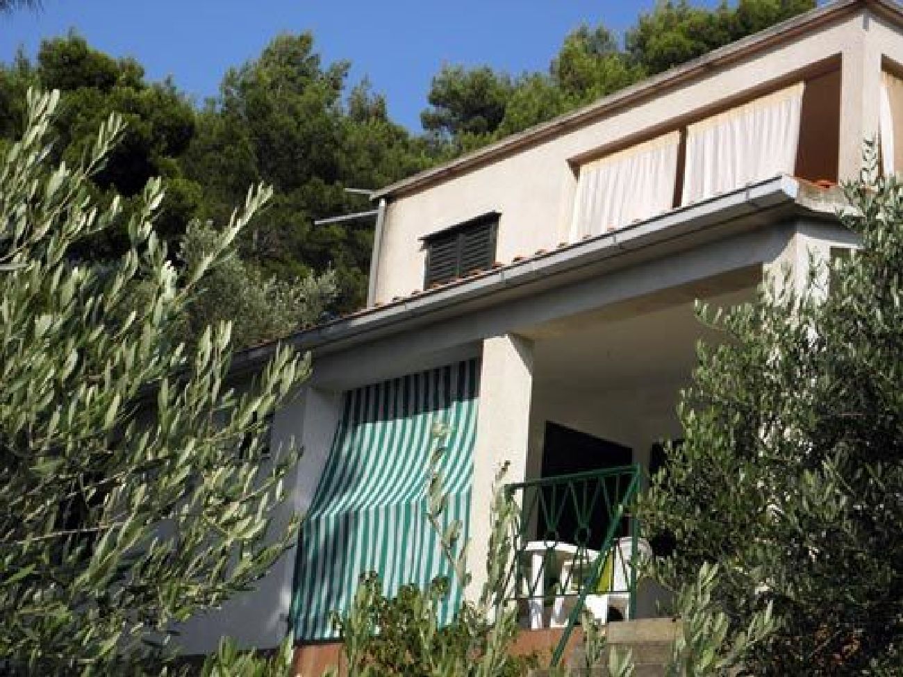 تصميم المبنى