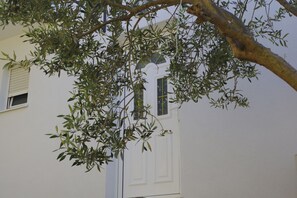 Diseño del edificio