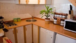 Eine kleine Küche mit Spüle, Herd und Geschirrspüler. Auf der Arbeitsplatte steht ein Blumentopf und eine Mikrowelle.