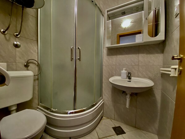 A bathroom with a glass-enclosed shower, a toilet, and a sink with a mirror above it.