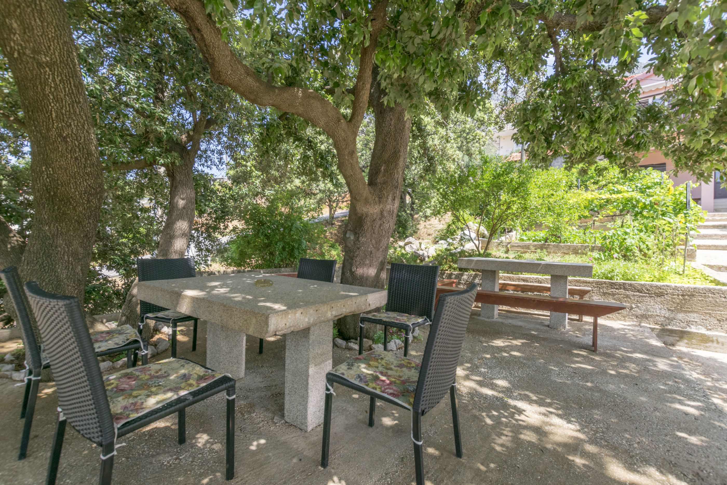 Un patio al aire libre con una mesa y sillas de hormigón, rodeado de árboles y follaje.