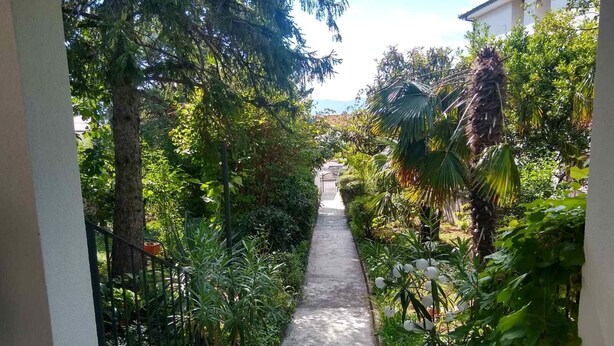 Uma passagem estreita ladeada por vegetação exuberante e plantas em vasos, conduzindo a uma entrada de edifício.